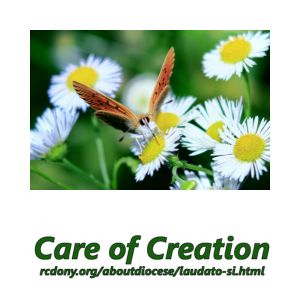 10 13a environmental stewardship 300 x 300 px
