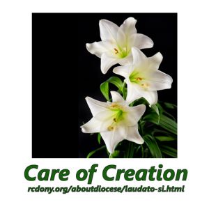 7 7a environmental stewardship 300 x 300 px